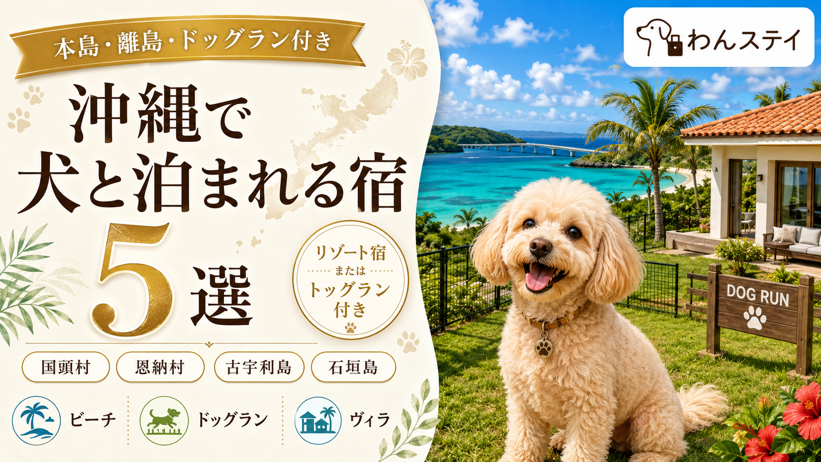 犬と沖縄