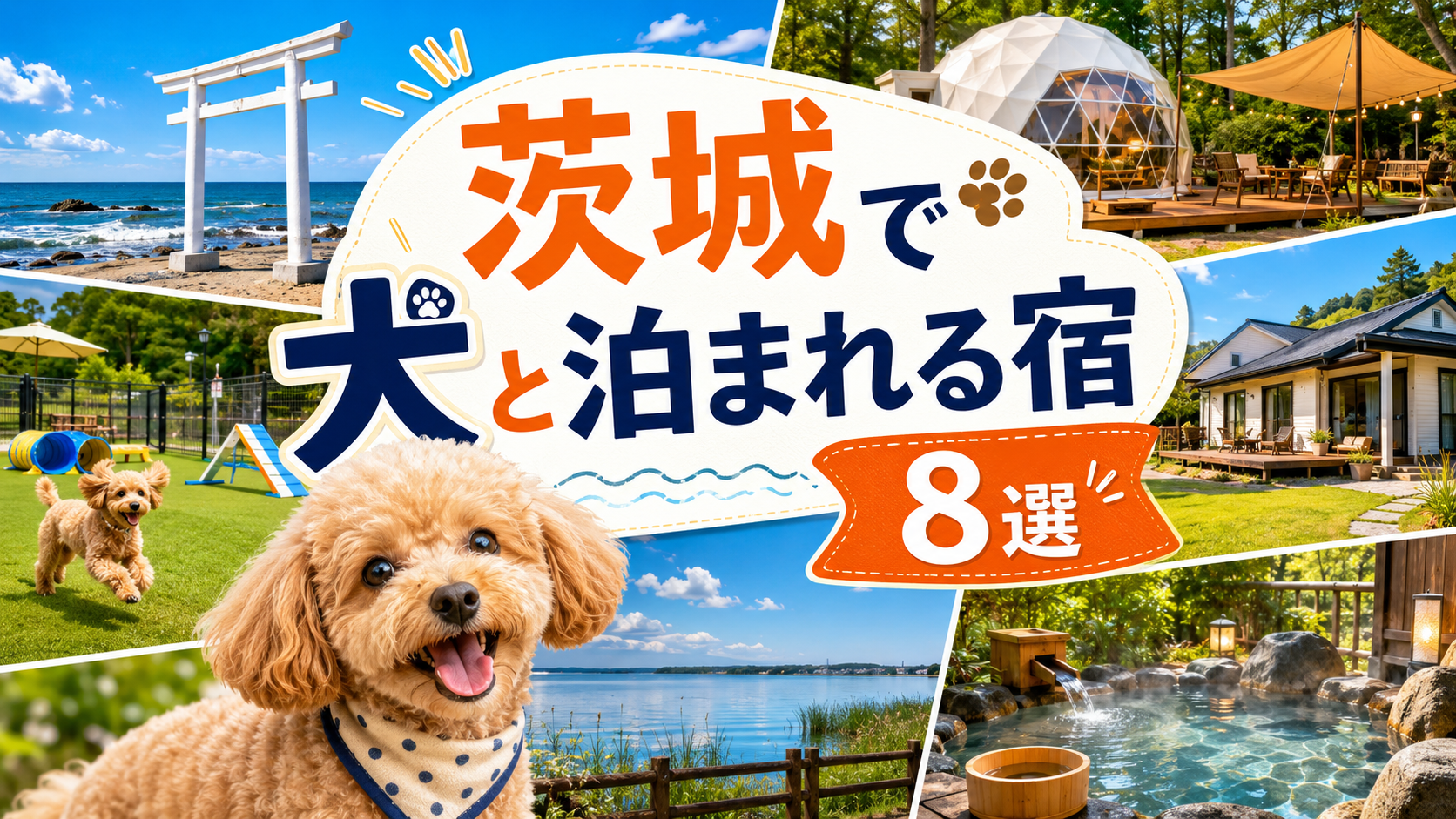 茨城で犬と泊まれる宿のイメージ