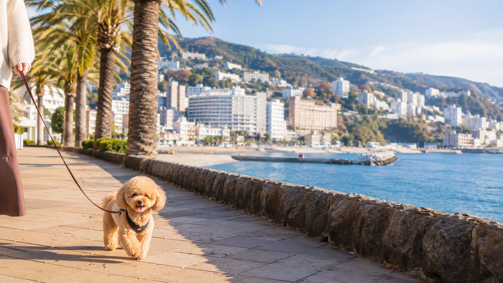 熱海の海沿いを散歩する犬と犬連れ旅行のイメージ