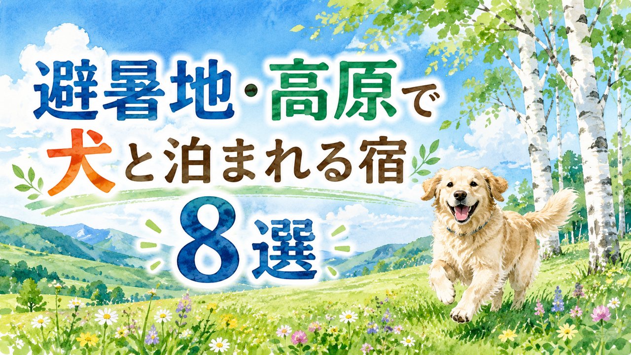 避暑地・高原で犬と泊まれる宿8選のアイキャッチ画像