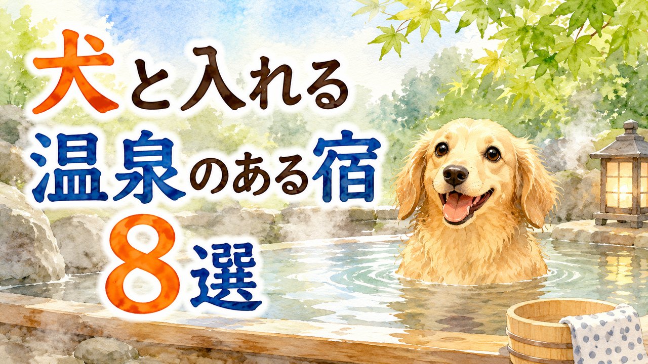 犬と入れる温泉のある宿8選（水彩イラスト）