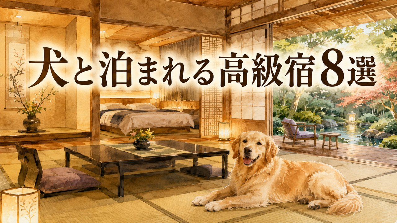 犬と泊まれる高級宿8選のアイキャッチ画像