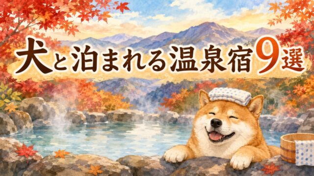 犬と泊まれる温泉宿おすすめ9選のアイキャッチ画像