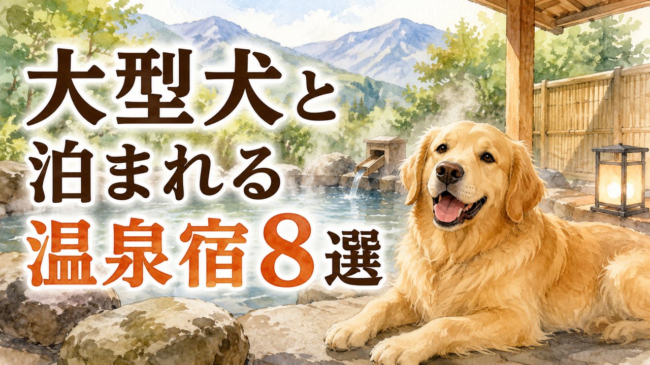 大型犬と泊まれる温泉宿8選のアイキャッチ画像